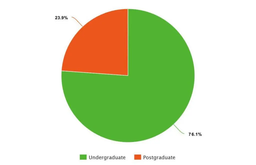 学生占比