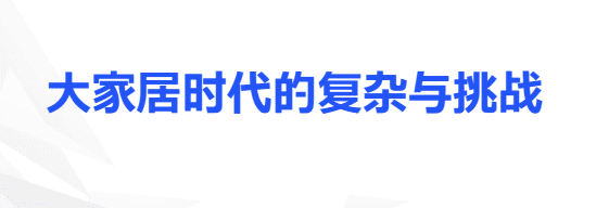 丽维家数字创新