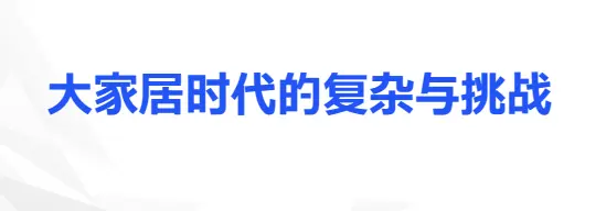 丽维家数字创新