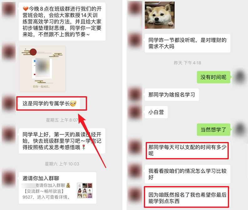 社群运营案例