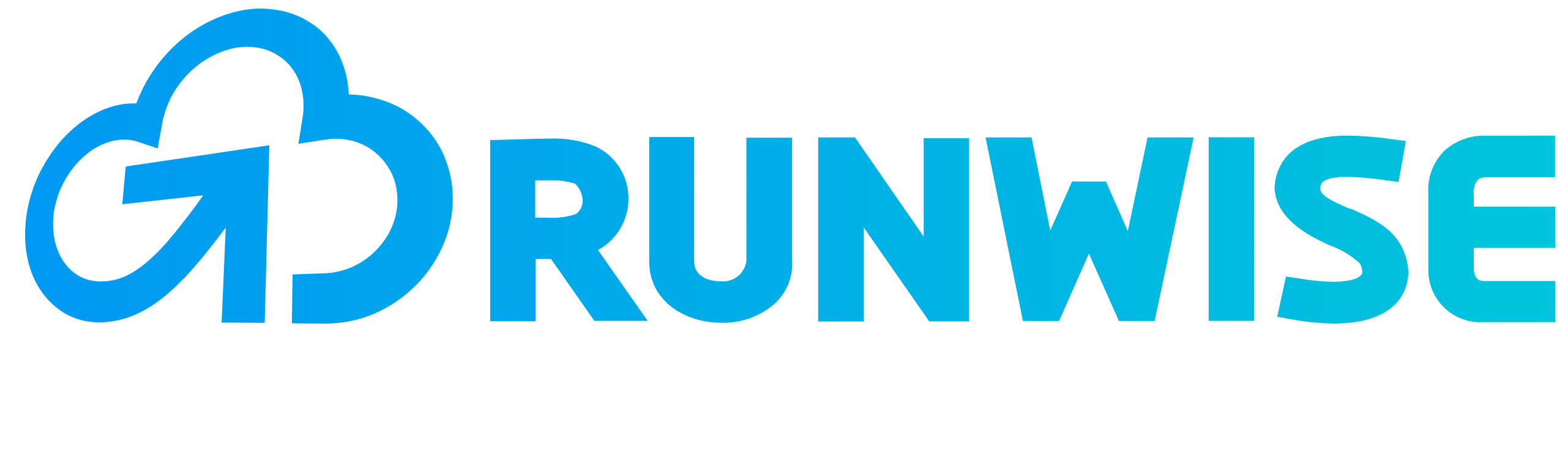 Runwise logo