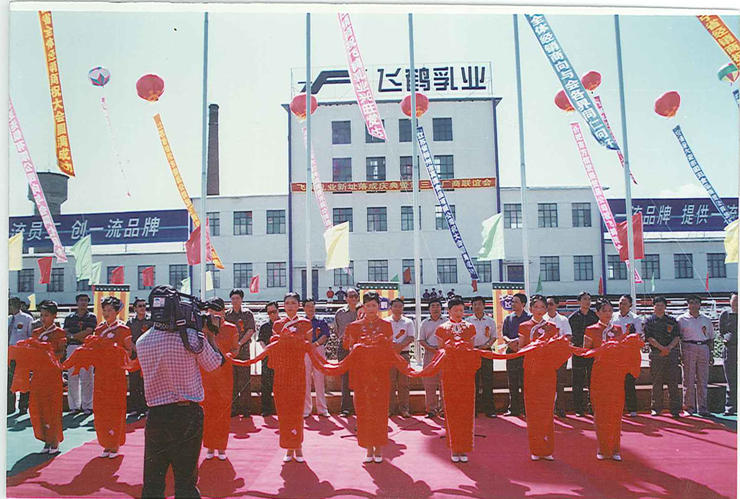 飞鹤数字化