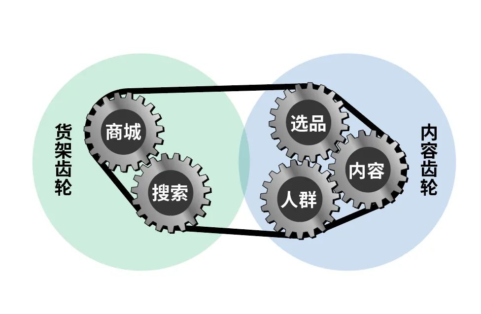 欧莱雅增长飞轮