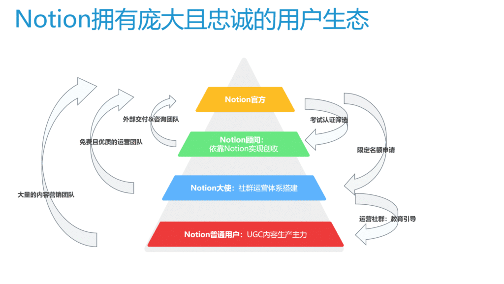 notion用户生态