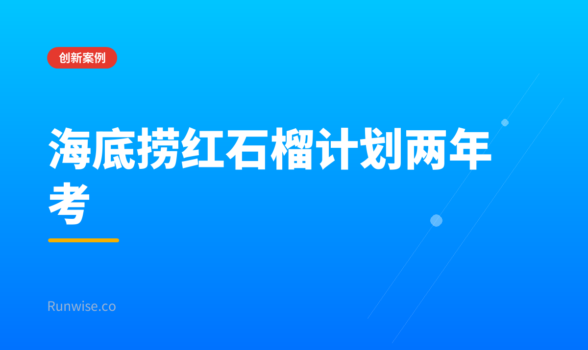 红石榴计划