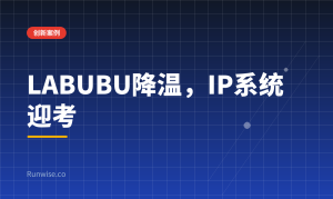 IP孵化系统